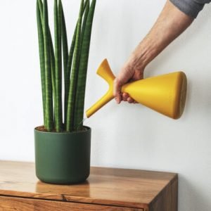 Plants Store Gallery Img 2 300x300 1